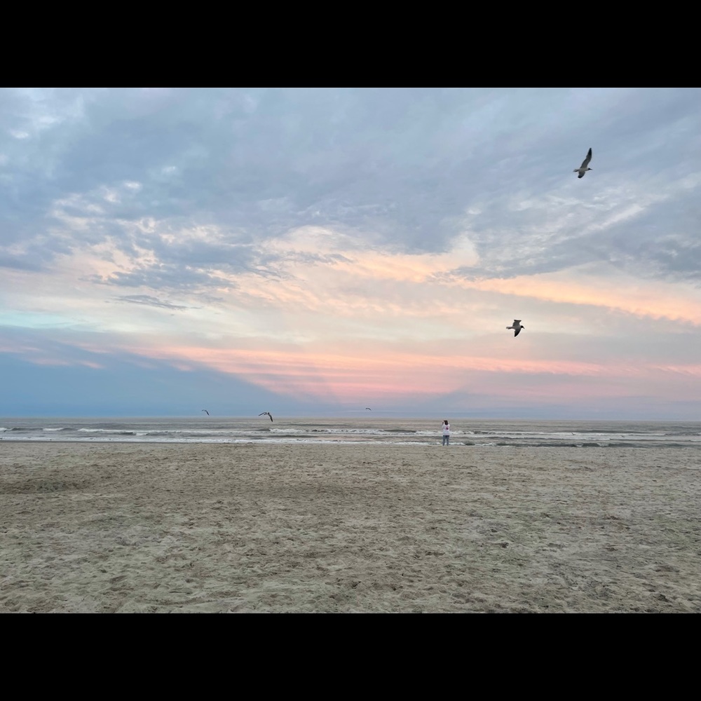 Meet your Posher, Molly